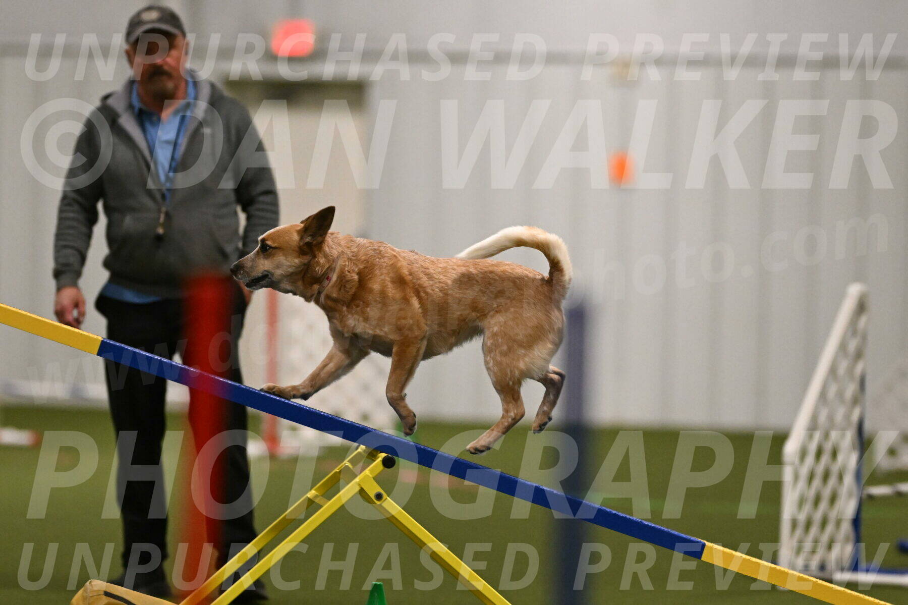 Kimber-Deanna-Rath-01533