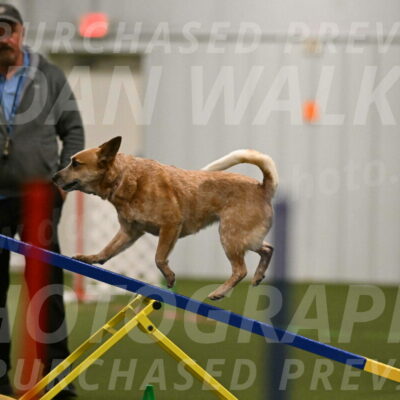 Kimber-Deanna-Rath-01533