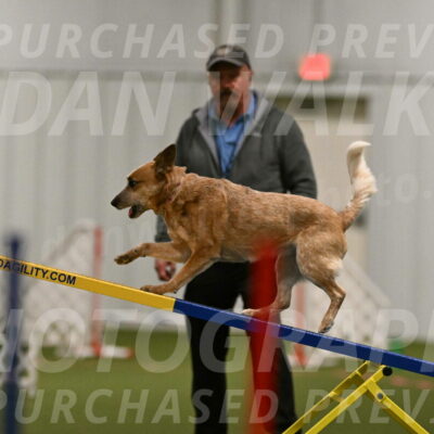 Kimber-Deanna-Rath-01534