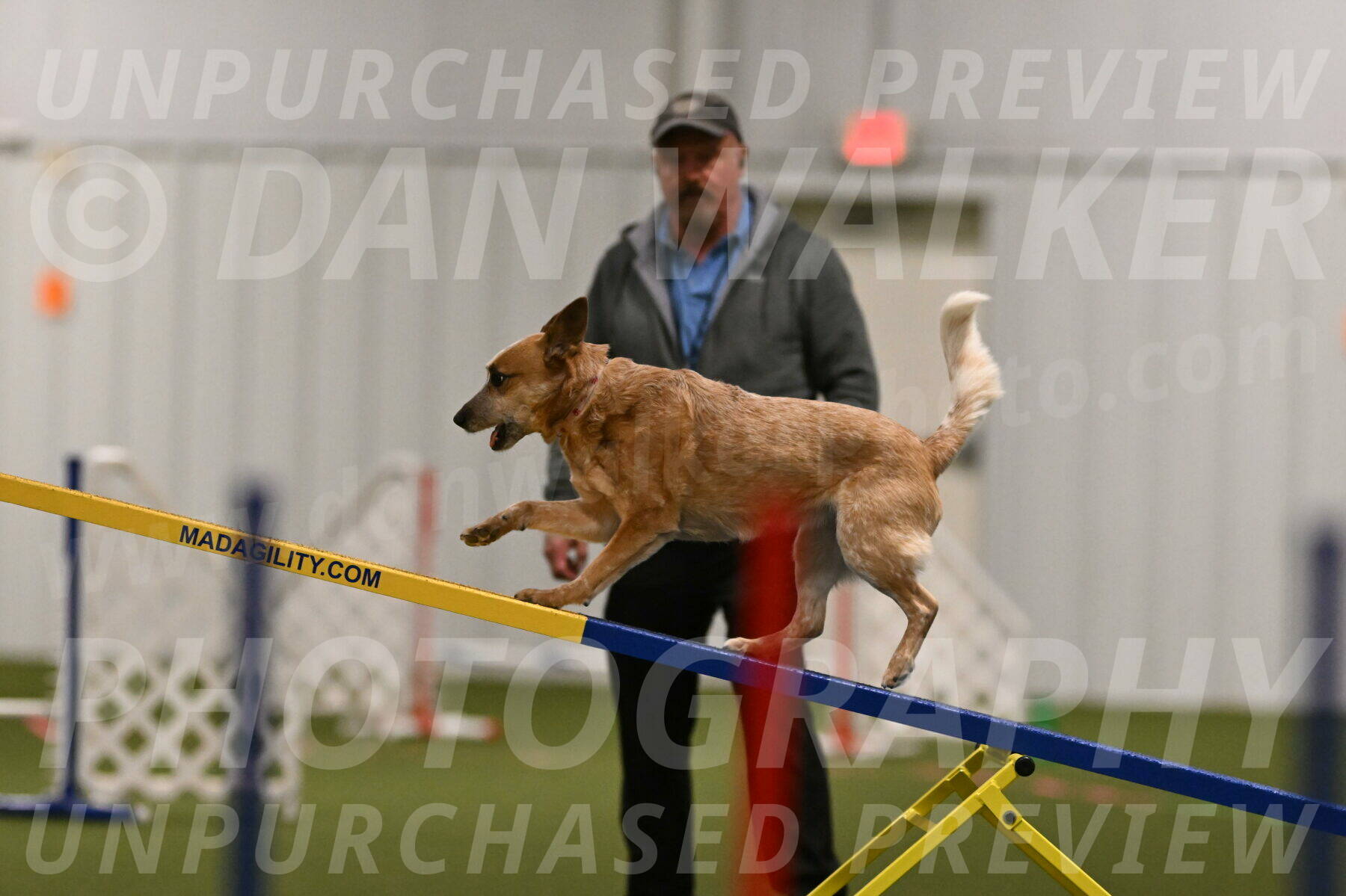 Kimber-Deanna-Rath-01534