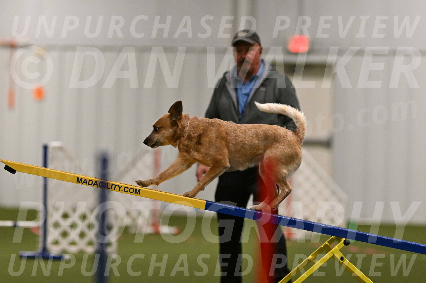 Kimber-Deanna-Rath-01535