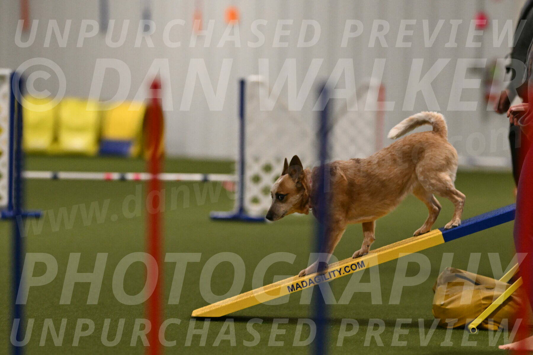 Kimber-Deanna-Rath-01536