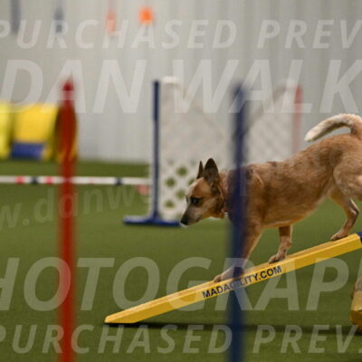 Kimber-Deanna-Rath-01536