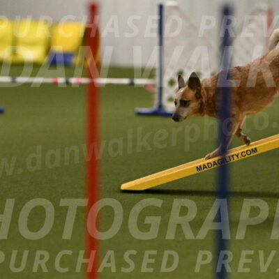 Kimber-Deanna-Rath-01537