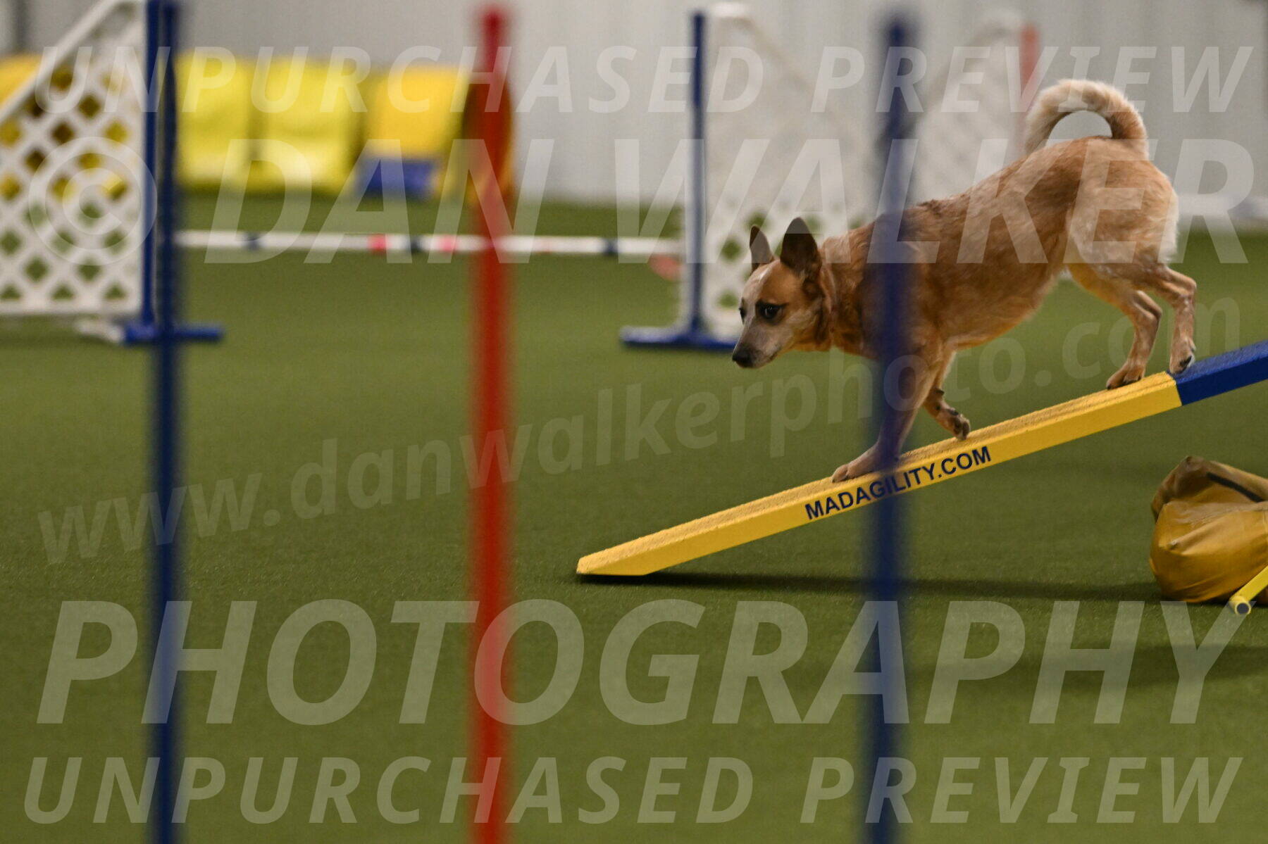 Kimber-Deanna-Rath-01537