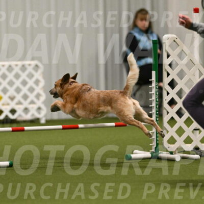 Kimber-Deanna-Rath-01538