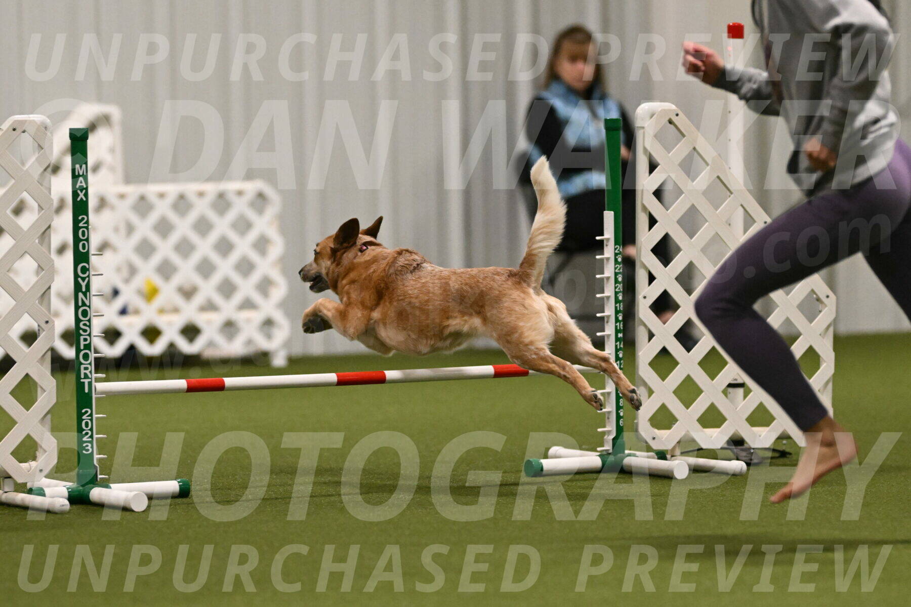 Kimber-Deanna-Rath-01538