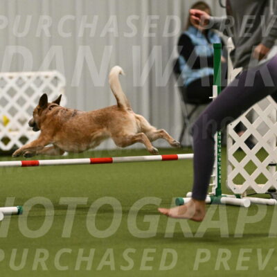 Kimber-Deanna-Rath-01539