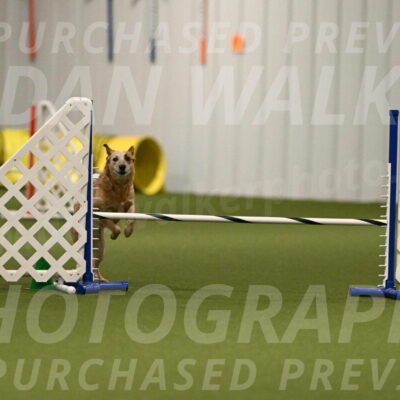 Kimber-Deanna-Rath-01540