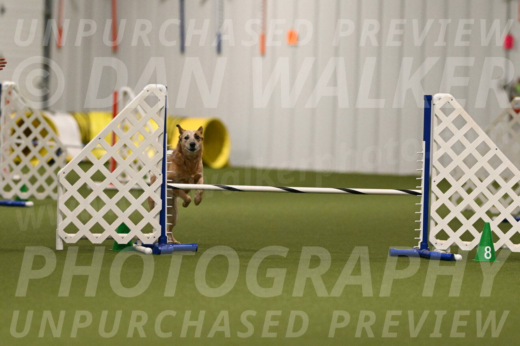 Kimber-Deanna-Rath-01540