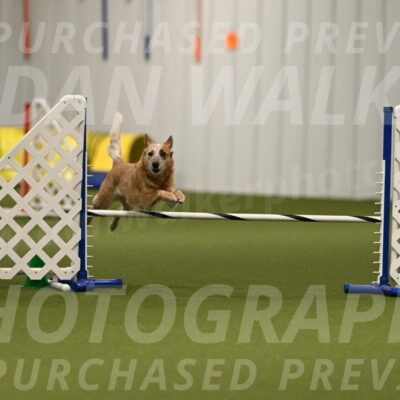 Kimber-Deanna-Rath-01541