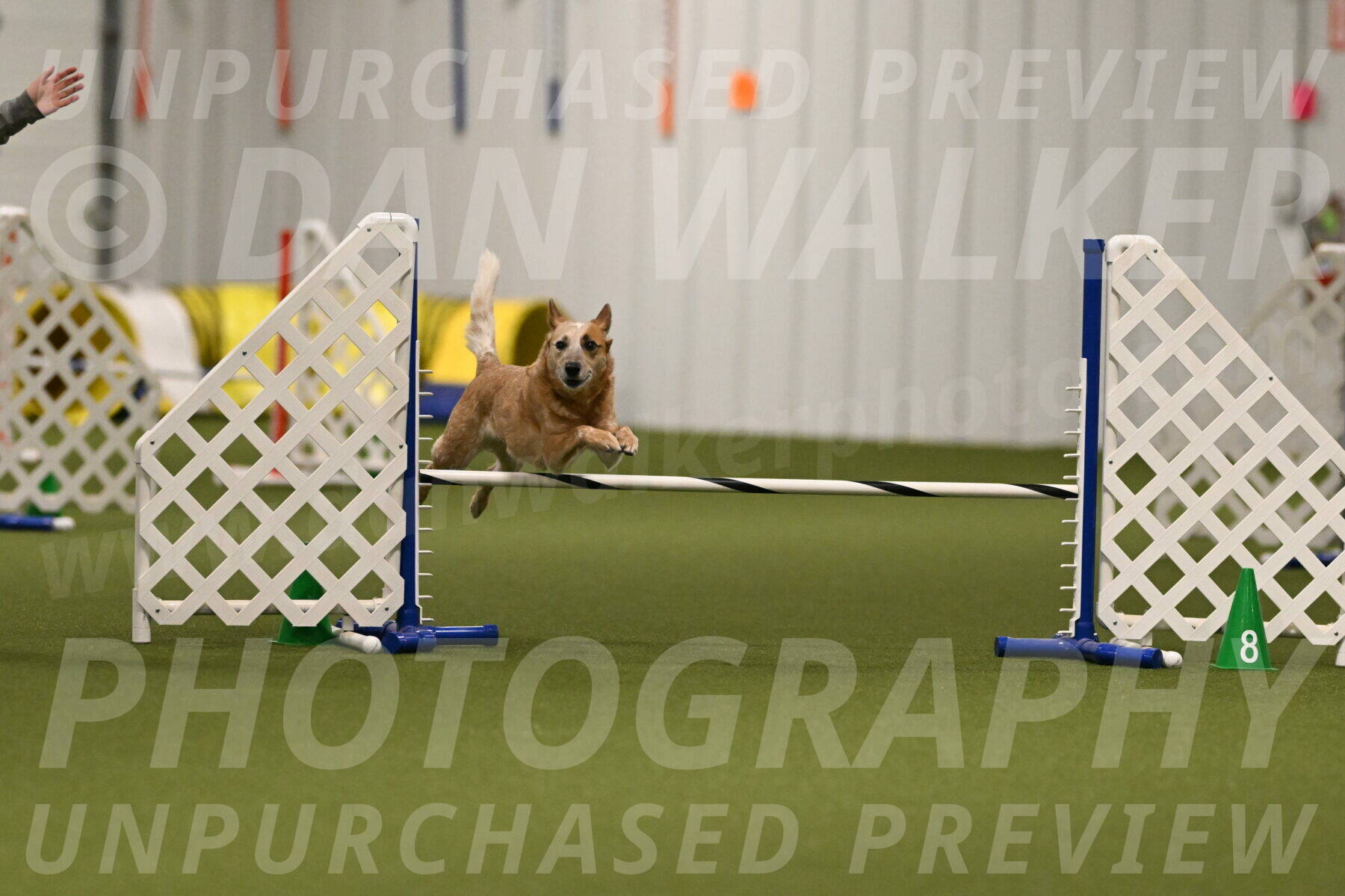 Kimber-Deanna-Rath-01541