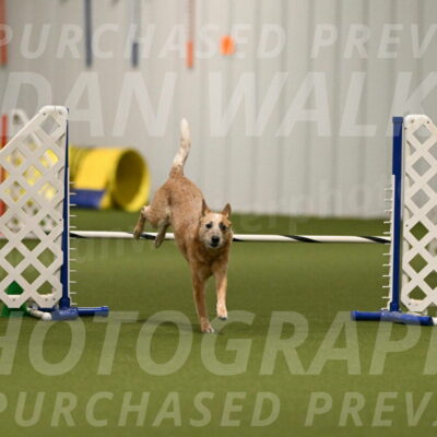 Kimber-Deanna-Rath-01542