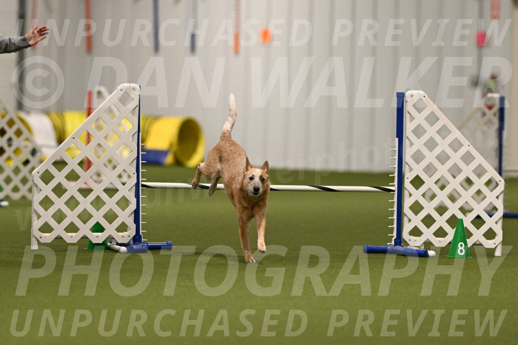 Kimber-Deanna-Rath-01542