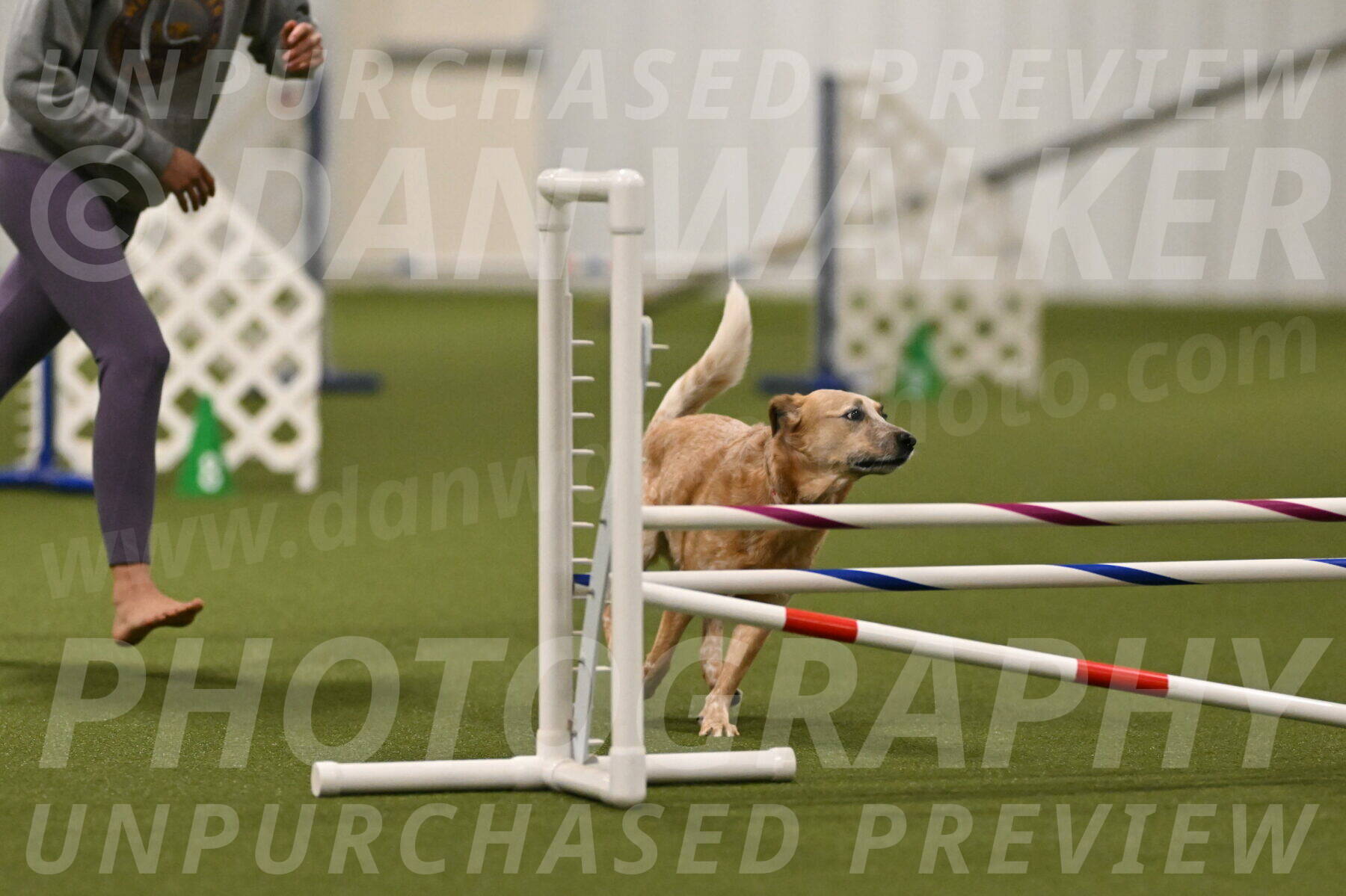 Kimber-Deanna-Rath-01543