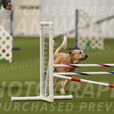 Kimber-Deanna-Rath-01543