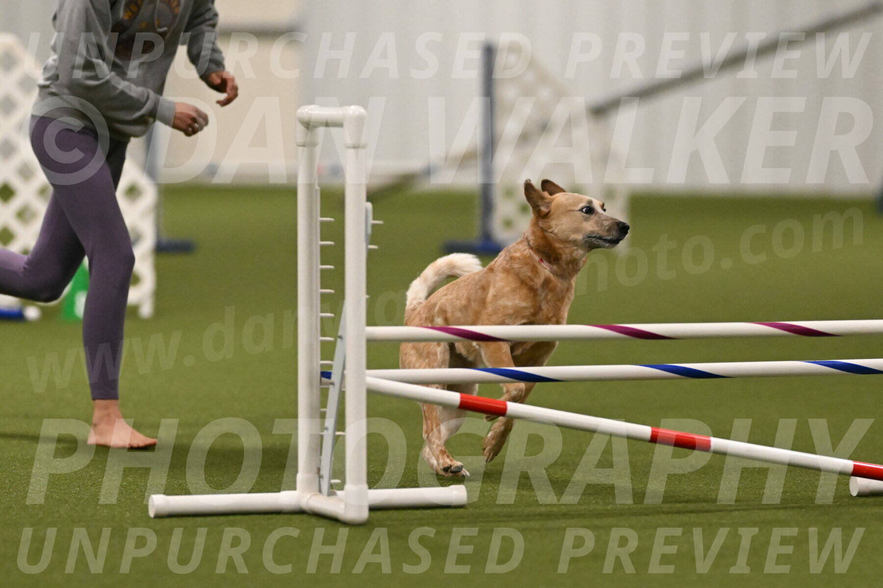 Kimber-Deanna-Rath-01544