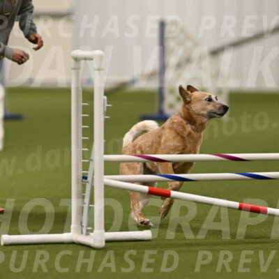 Kimber-Deanna-Rath-01544