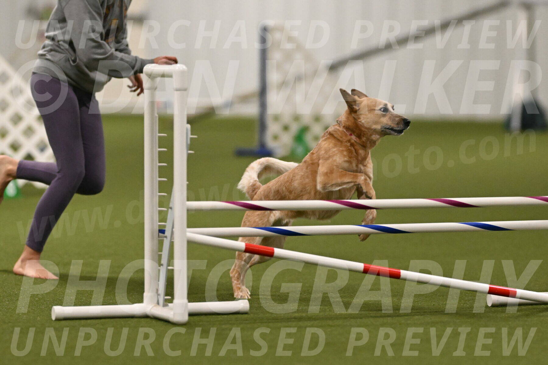 Kimber-Deanna-Rath-01545