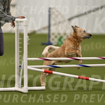 Kimber-Deanna-Rath-01545