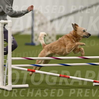 Kimber-Deanna-Rath-01546