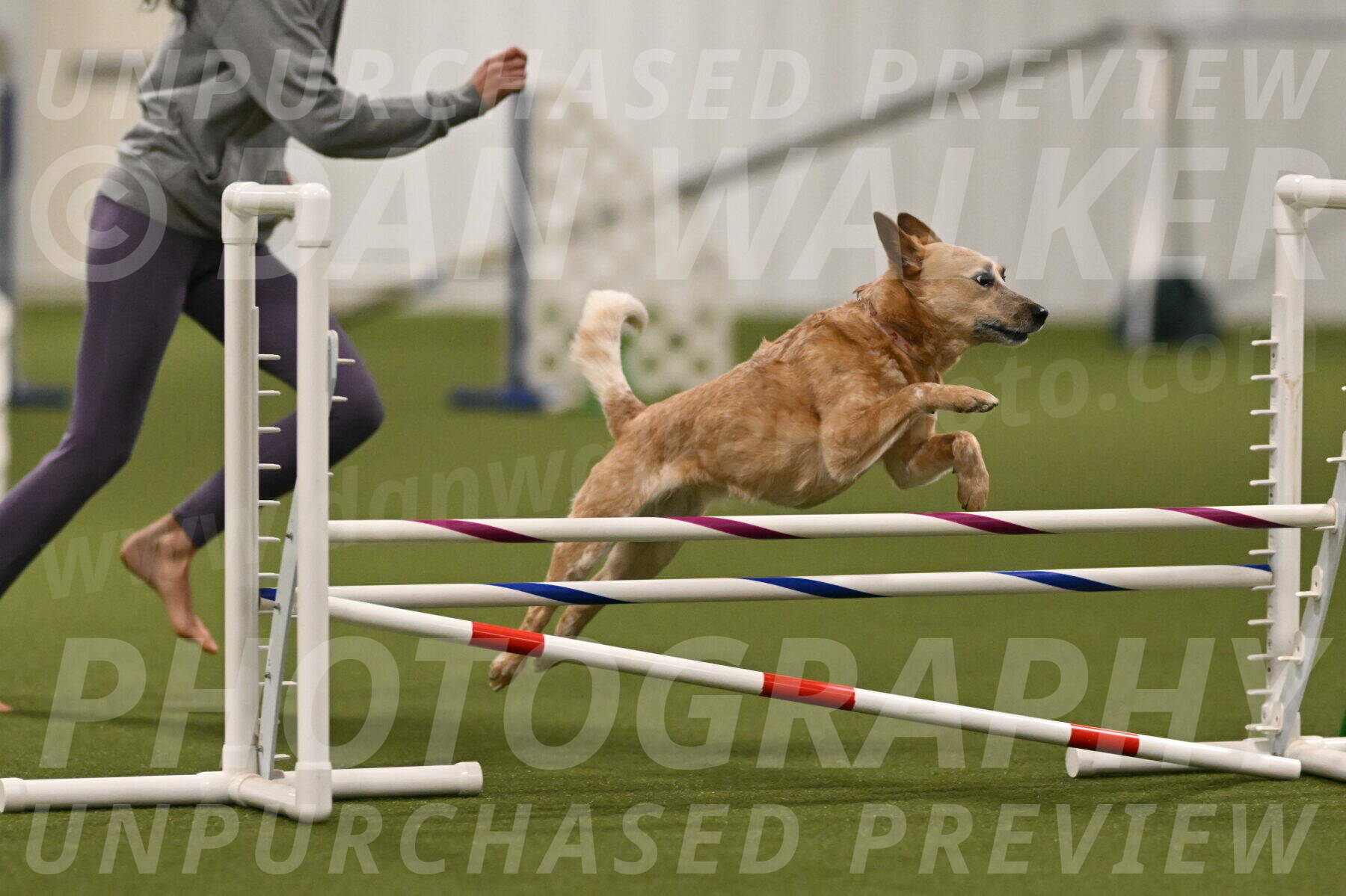 Kimber-Deanna-Rath-01546