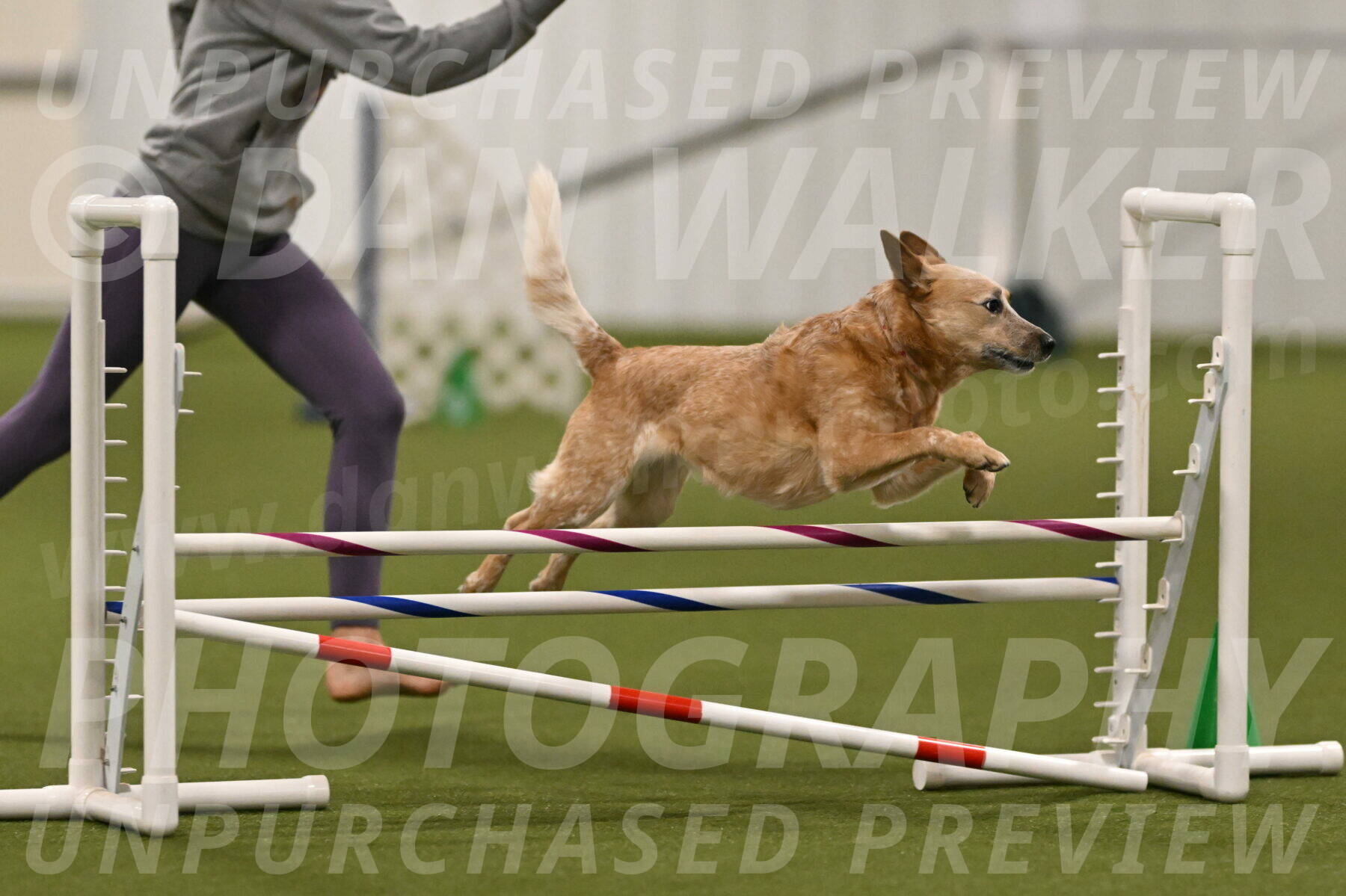 Kimber-Deanna-Rath-01547