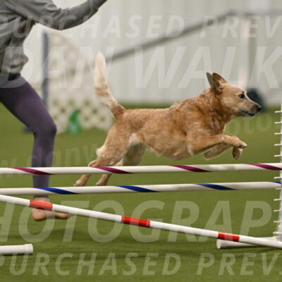 Kimber-Deanna-Rath-01547