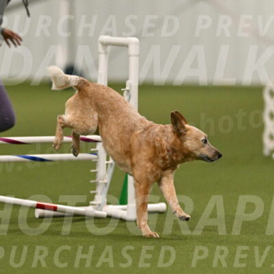 Kimber-Deanna-Rath-01548