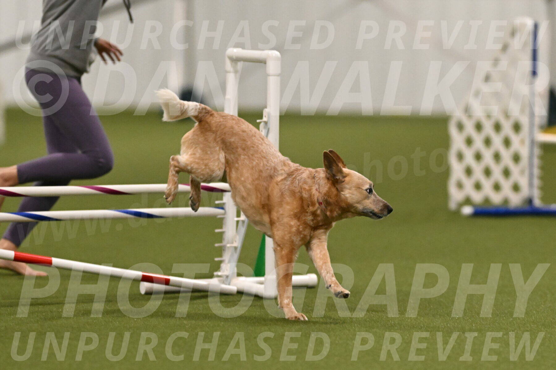 Kimber-Deanna-Rath-01548