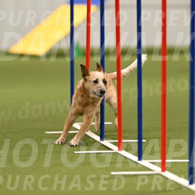 Kimber-Deanna-Rath-01549