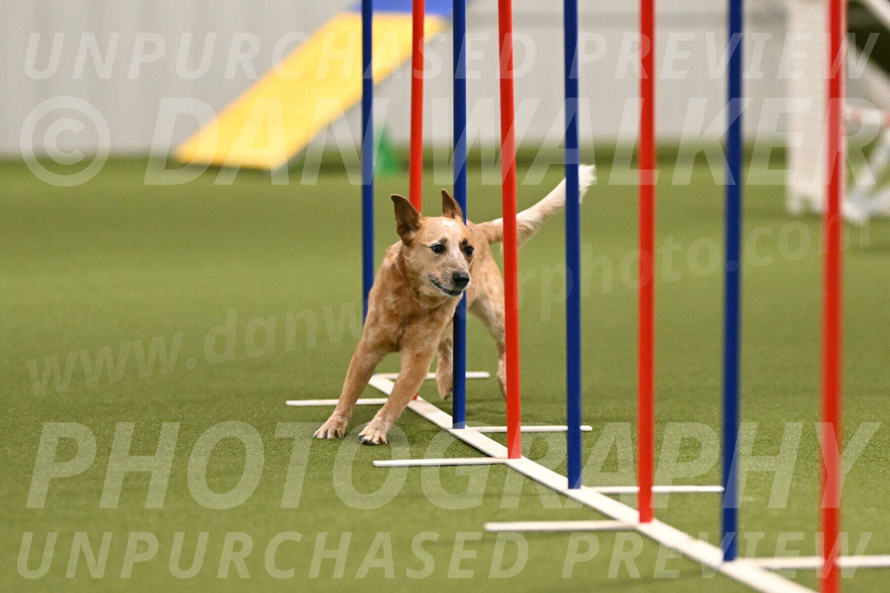 Kimber-Deanna-Rath-01549