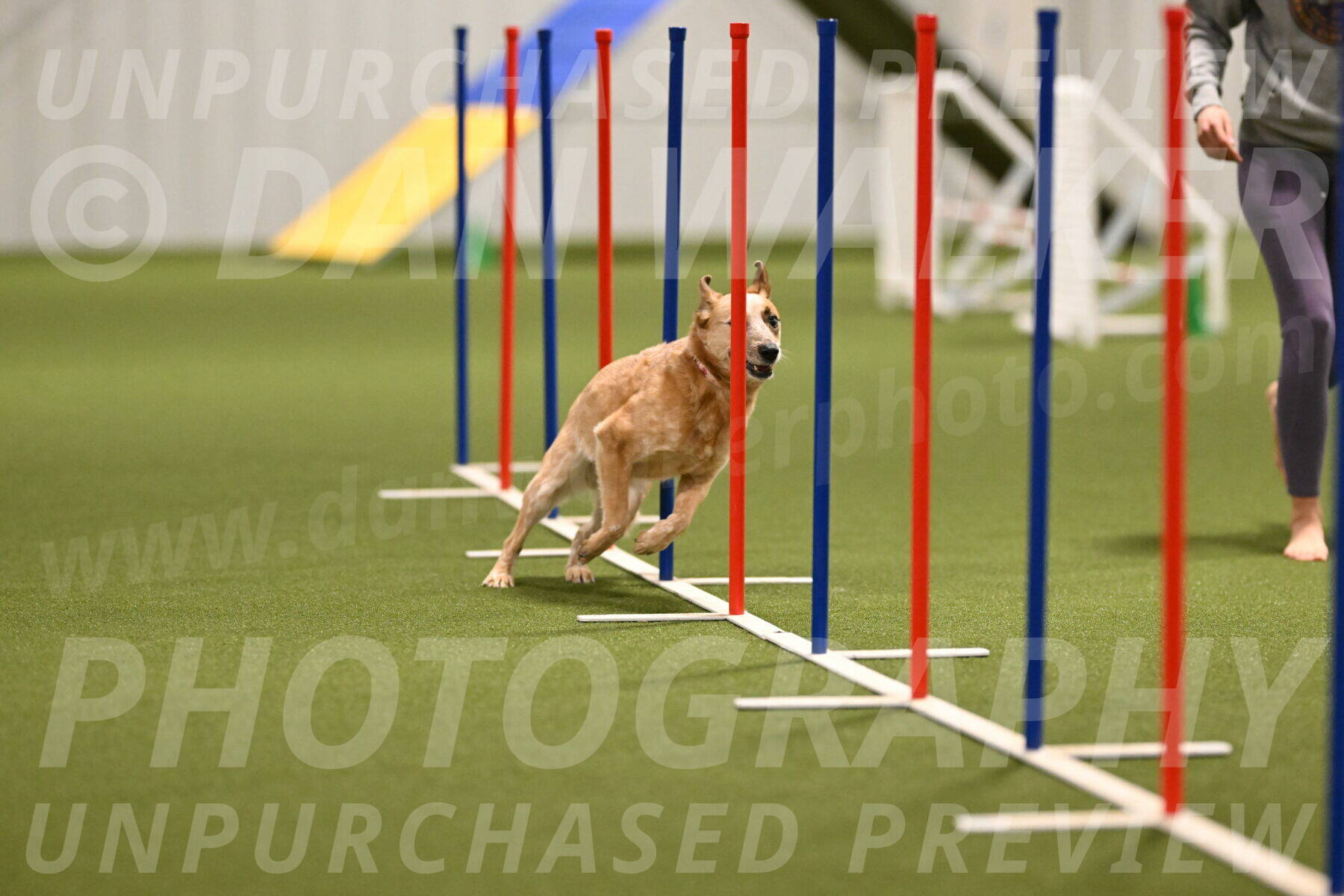 Kimber-Deanna-Rath-01550