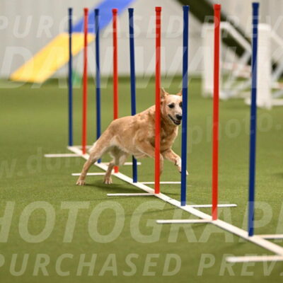 Kimber-Deanna-Rath-01551