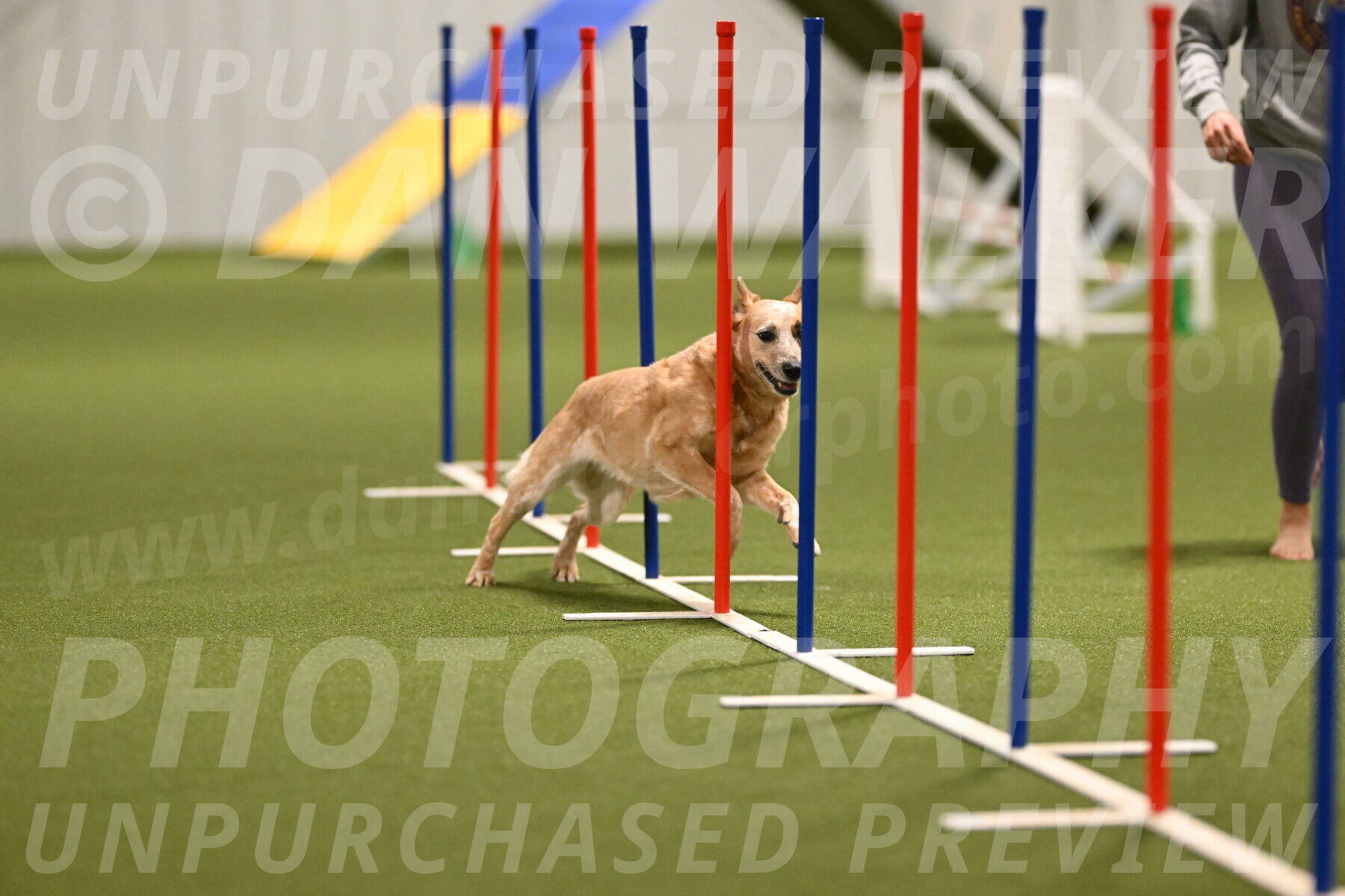 Kimber-Deanna-Rath-01551