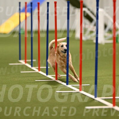 Kimber-Deanna-Rath-01552