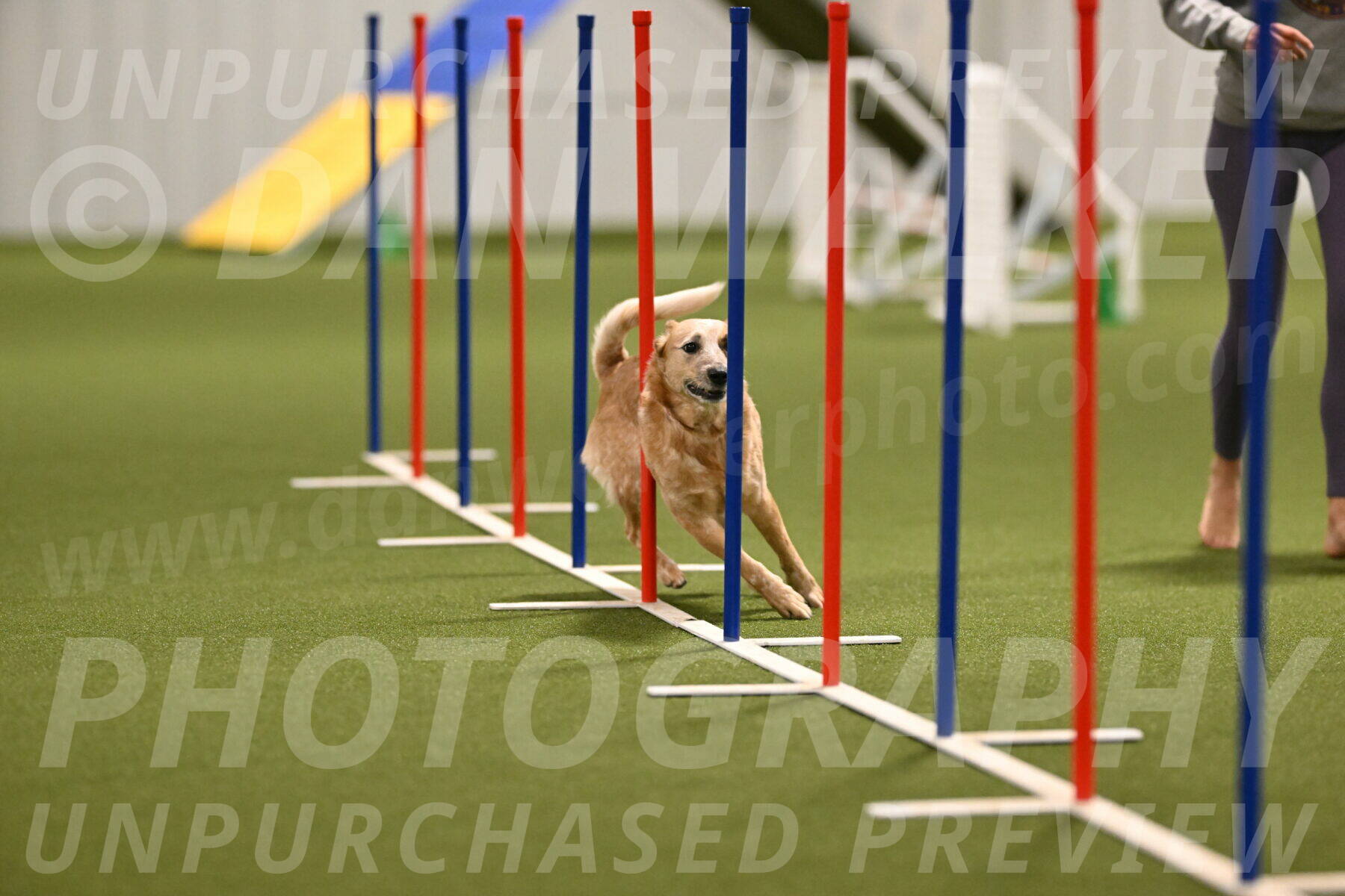 Kimber-Deanna-Rath-01552