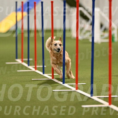 Kimber-Deanna-Rath-01553