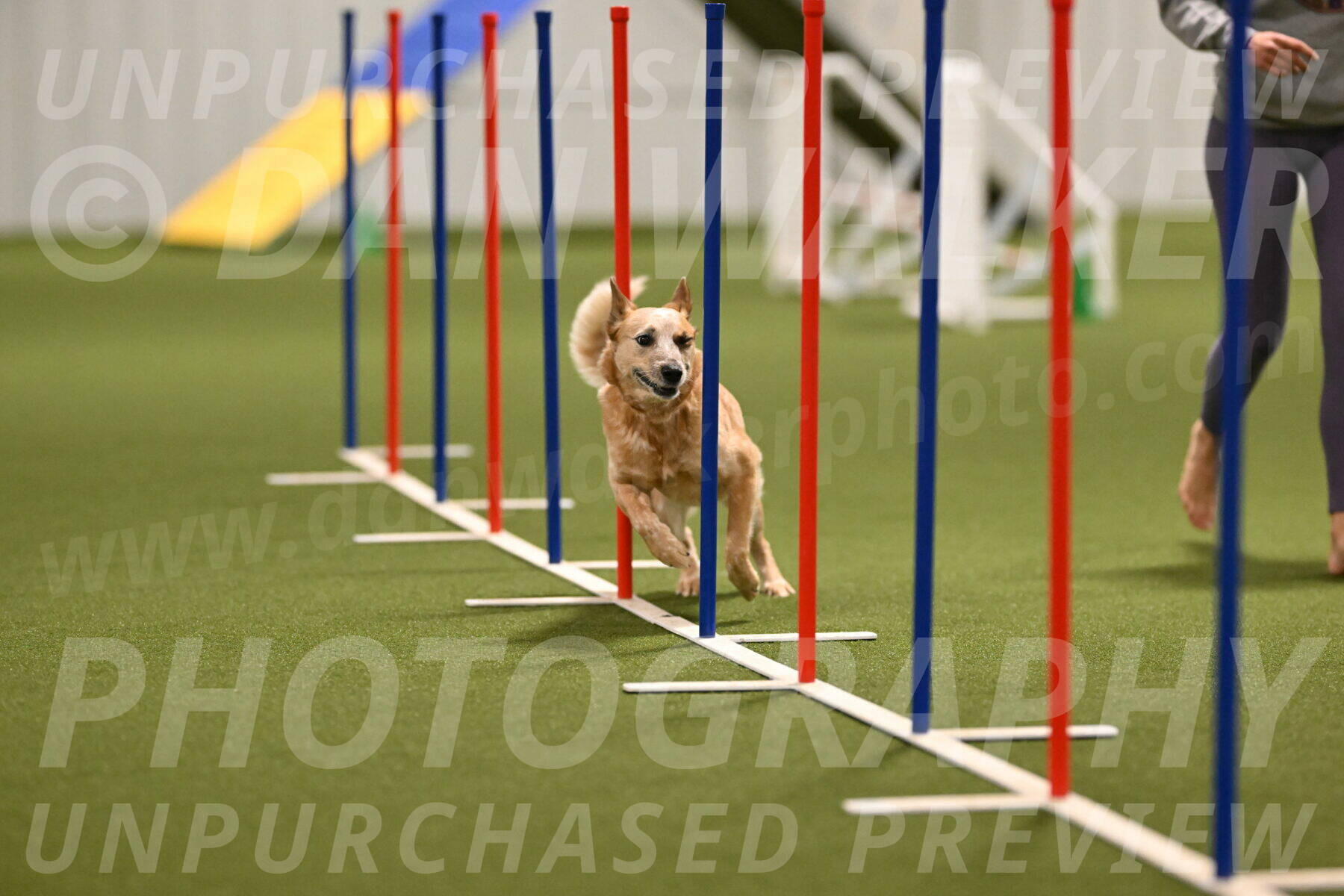 Kimber-Deanna-Rath-01553