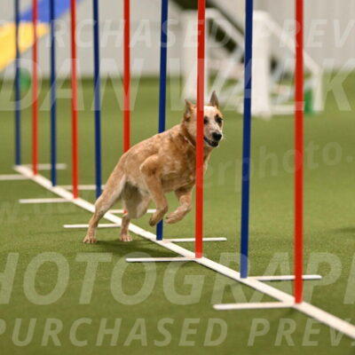 Kimber-Deanna-Rath-01554