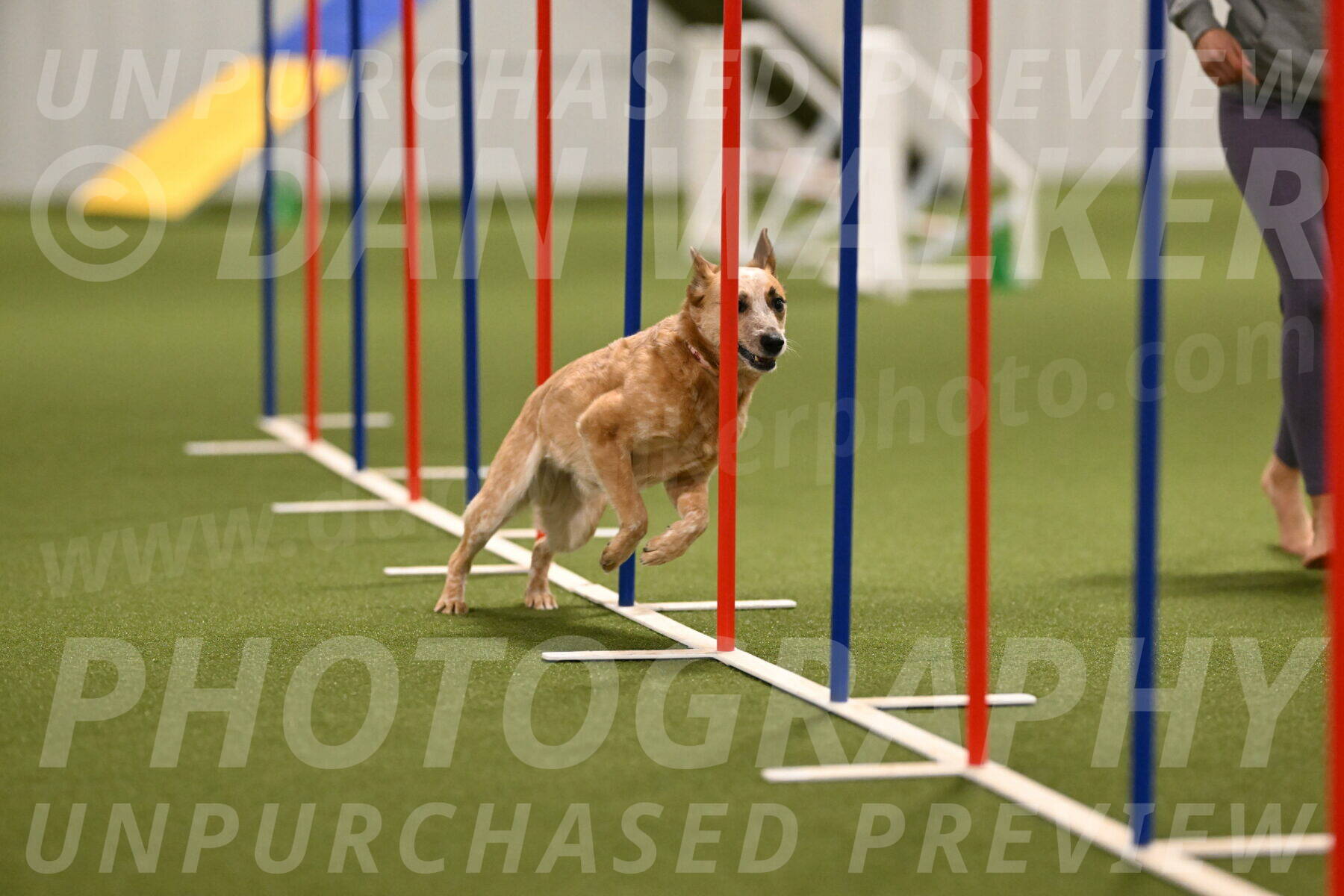 Kimber-Deanna-Rath-01554