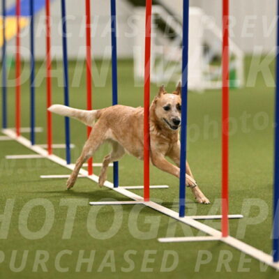 Kimber-Deanna-Rath-01555