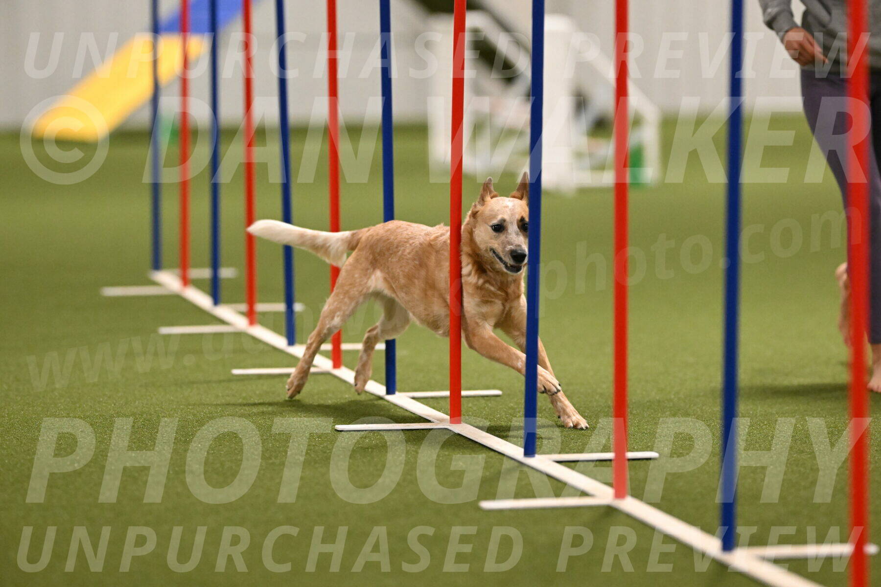 Kimber-Deanna-Rath-01555