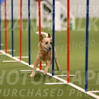 Kimber-Deanna-Rath-01556