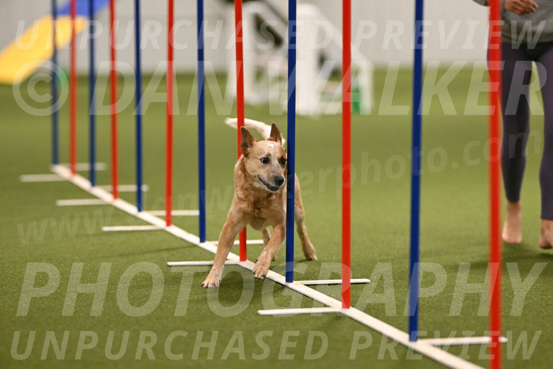 Kimber-Deanna-Rath-01556