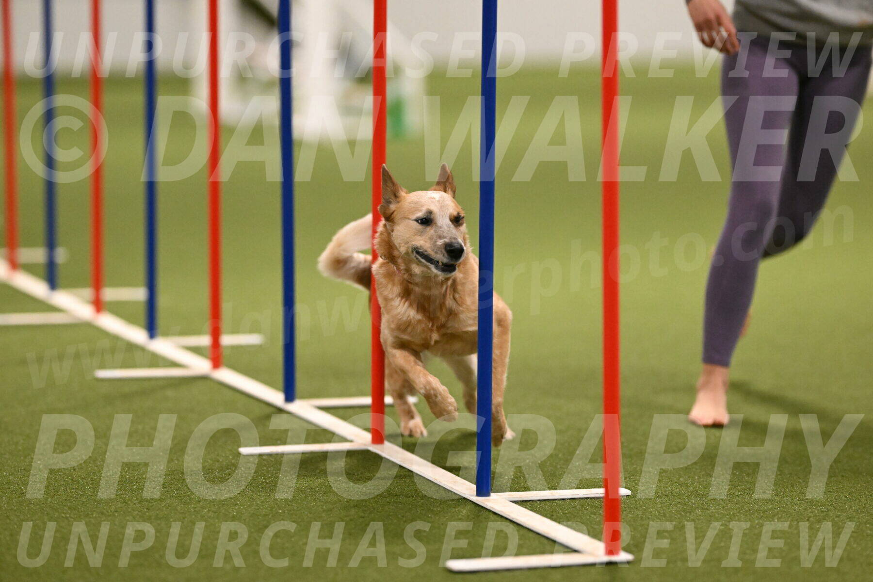 Kimber-Deanna-Rath-01557