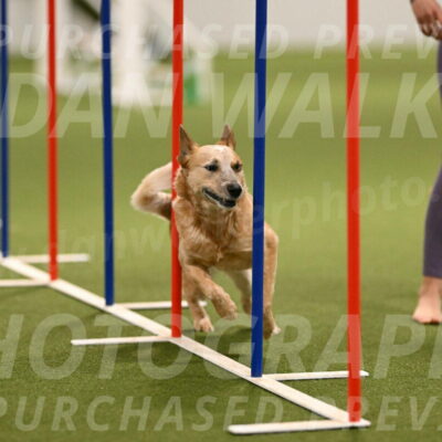 Kimber-Deanna-Rath-01557