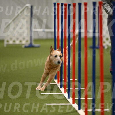 Kimber-Deanna-Rath-01558