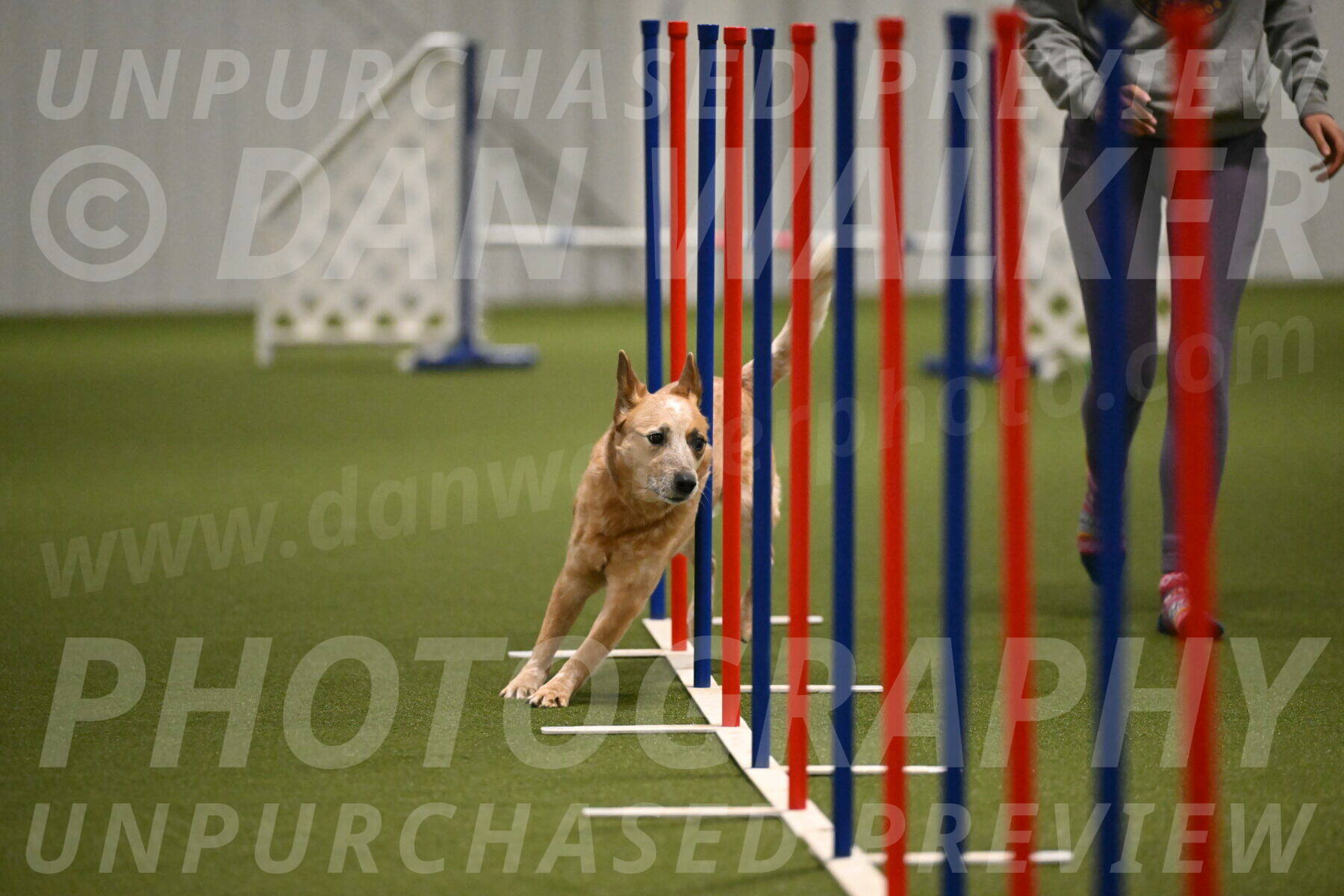 Kimber-Deanna-Rath-01558