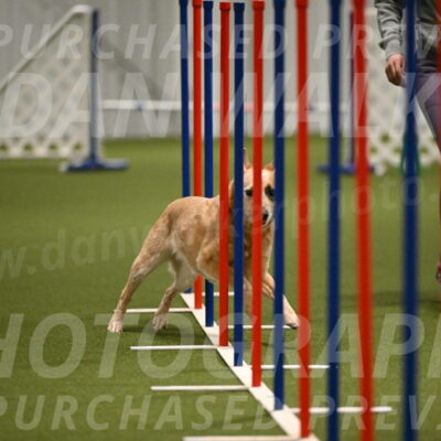 Kimber-Deanna-Rath-01559